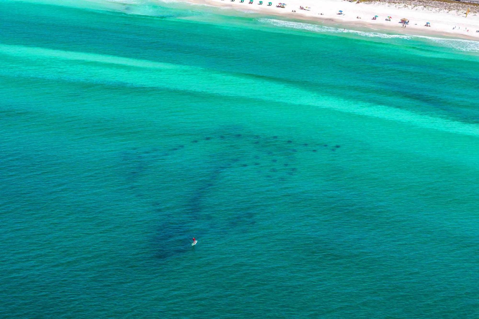 Beach Resort 406 Destin Exteriör bild